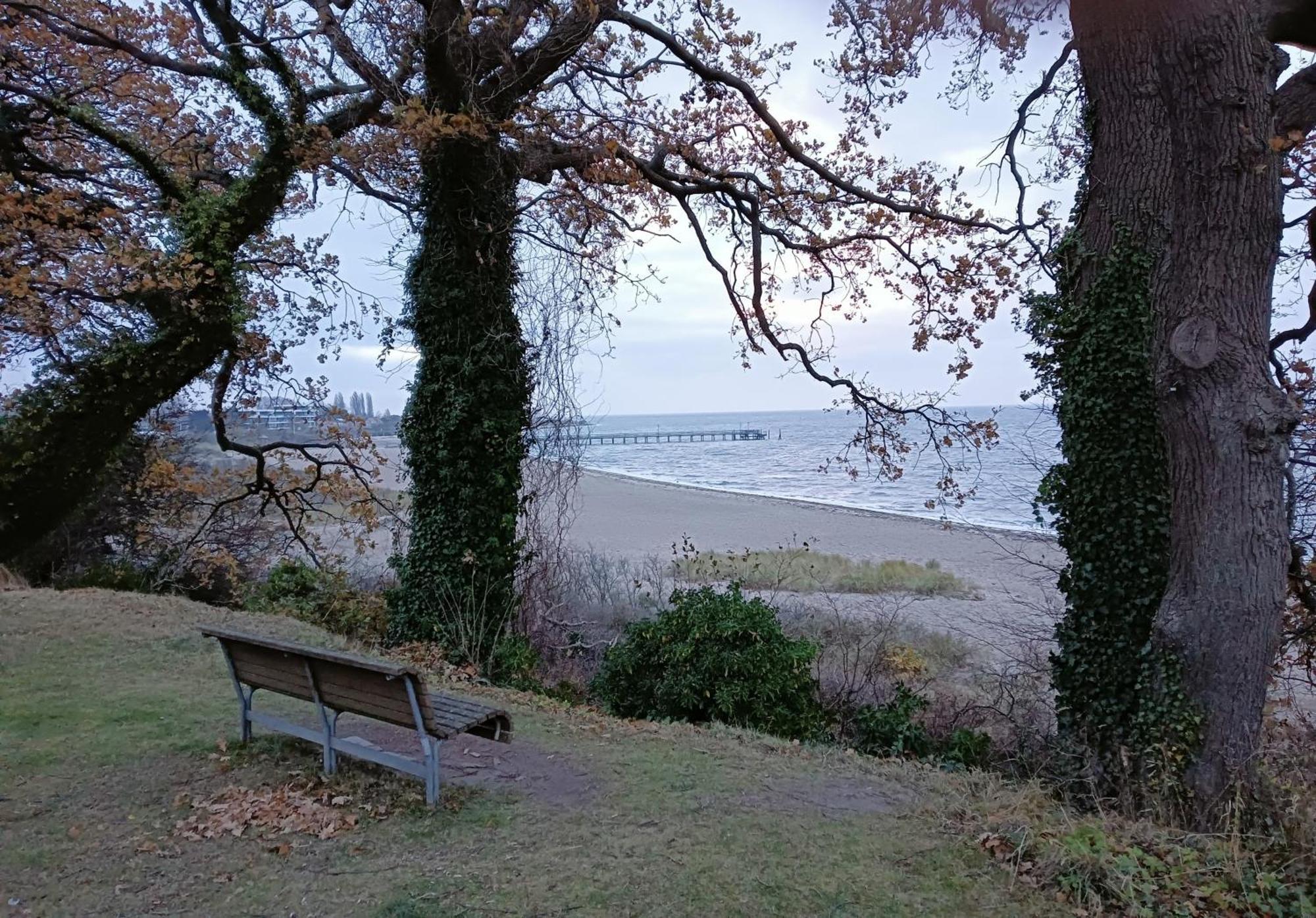Fewo Muschelgetuschel Im Prinz Hamlet - Direkte Strandlage Pelzerhaken Luaran gambar